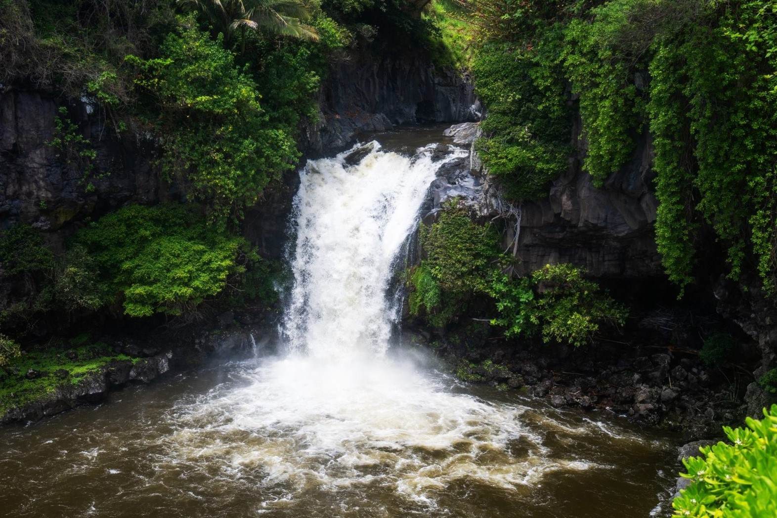 mystery-of-hawaiis-sacred-waters
