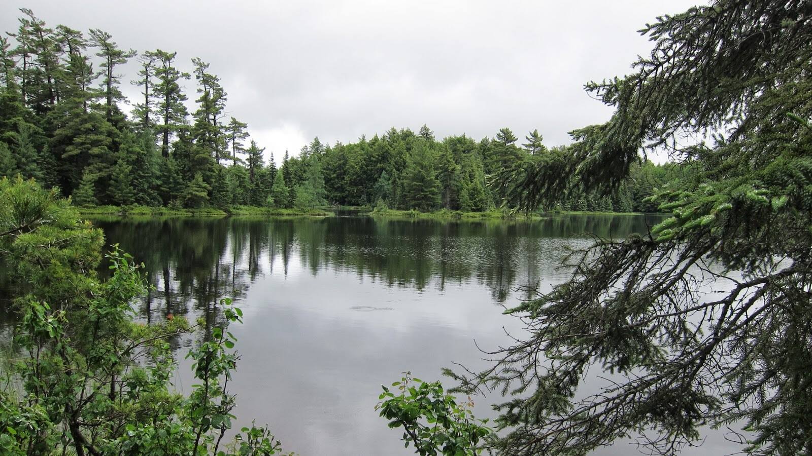 mystery-of-michigans-sylvania-phantom-lakes