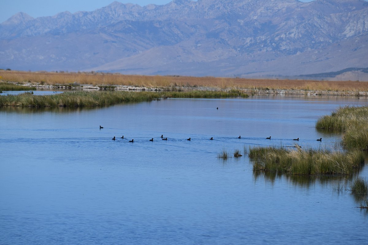 Mystery-Of-Nevada8217s-Ruby-Marsh-Lakes mystery-of-nevadas-ruby-marsh-lakes