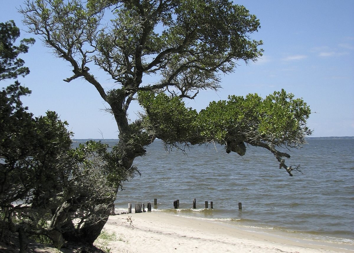Mystery-Of-South-Carolina8217s-Ancient-Shell-Islands mystery-of-south-carolinas-ancient-shell-islands