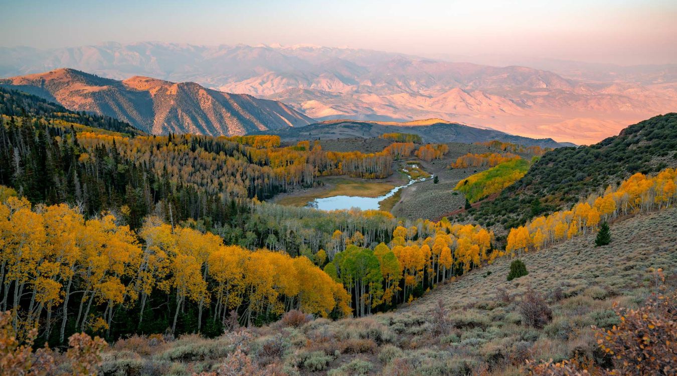 Mystery-Of-Utah8217s-Fishlake-Forest mystery-of-utahs-fishlake-forest
