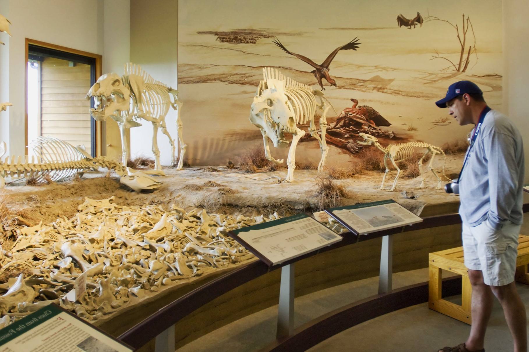 Nebraska8217s-Secret-Agate-Fossil-Beds-And-Ancient-Mammals nebraskas-secret-agate-fossil-beds-and-ancient-mammals