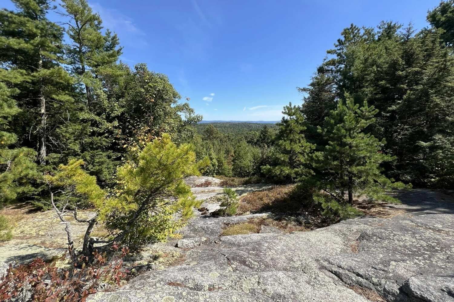 New-Hampshire8217s-Secret-Trails-At-Pisgah-State-Park new-hampshires-secret-trails-at-pisgah-state-park
