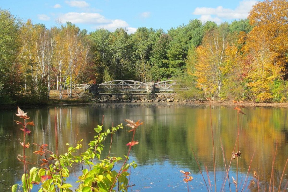 Rhode-Island8217s-Secret-Glacial-Boulder-Field-In-Lincoln-Woods rhode-islands-secret-glacial-boulder-field-in-lincoln-woods