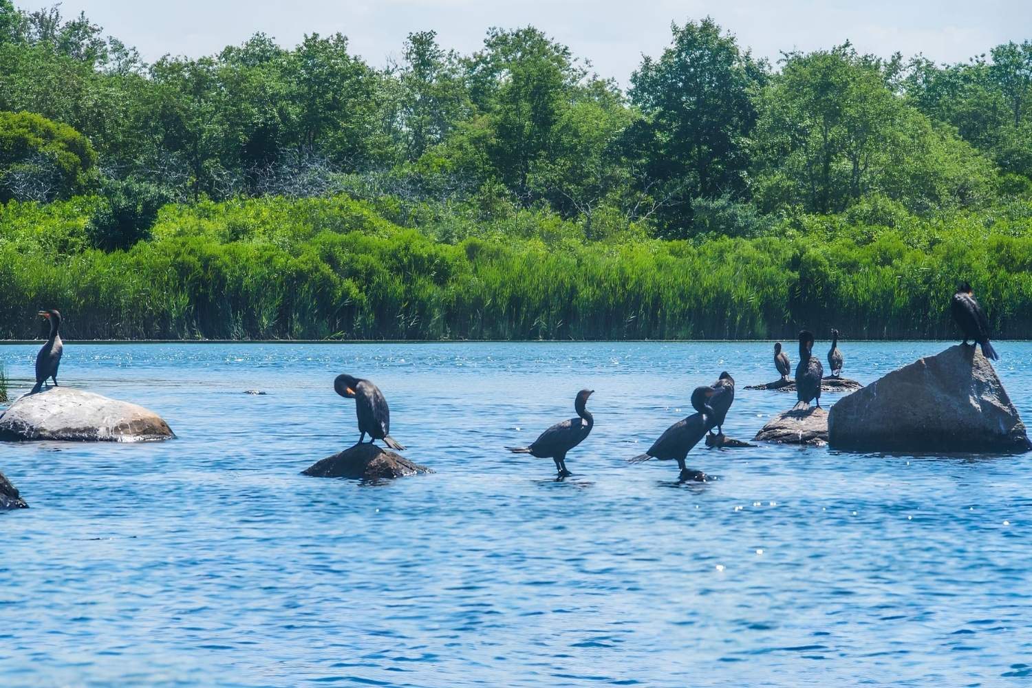 Rhode-Island8217s-Secret-Ninigret-Wildlife-Refuge-Adventure rhode-islands-secret-ninigret-wildlife-refuge-adventure