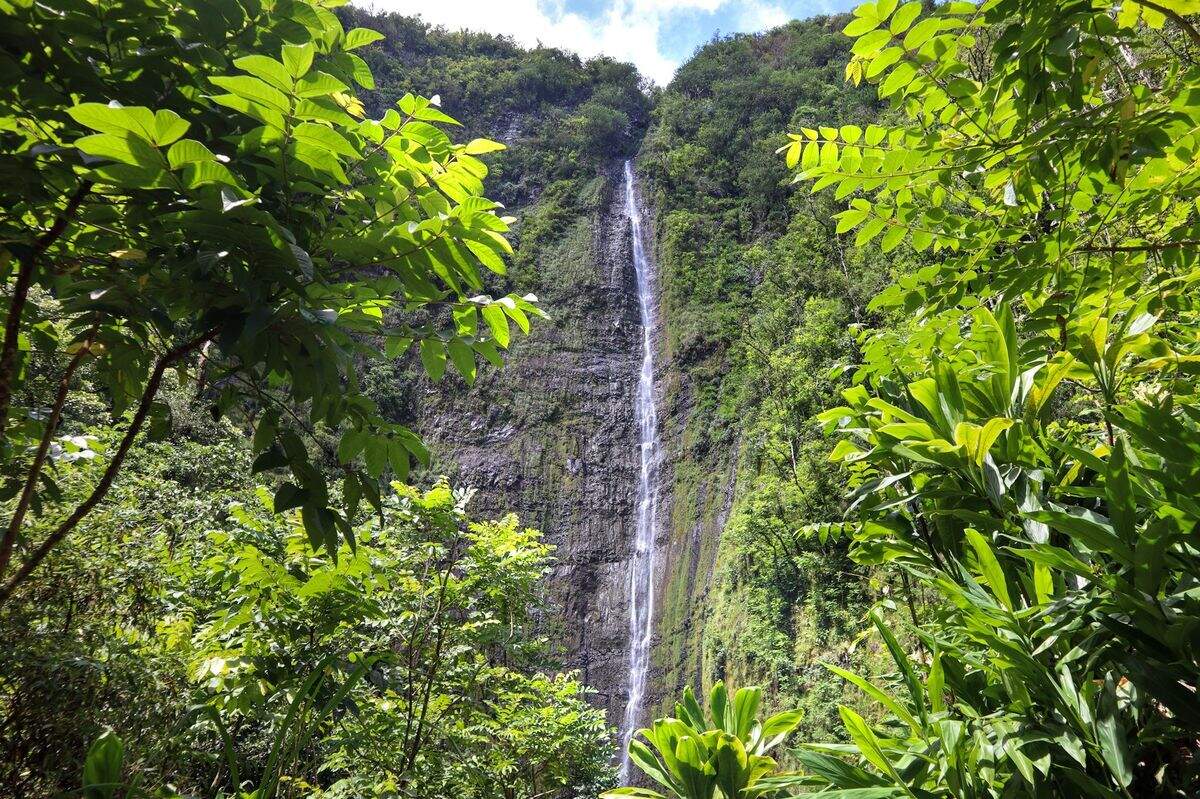 sacred-falls-of-hawaiis-bamboo-forest