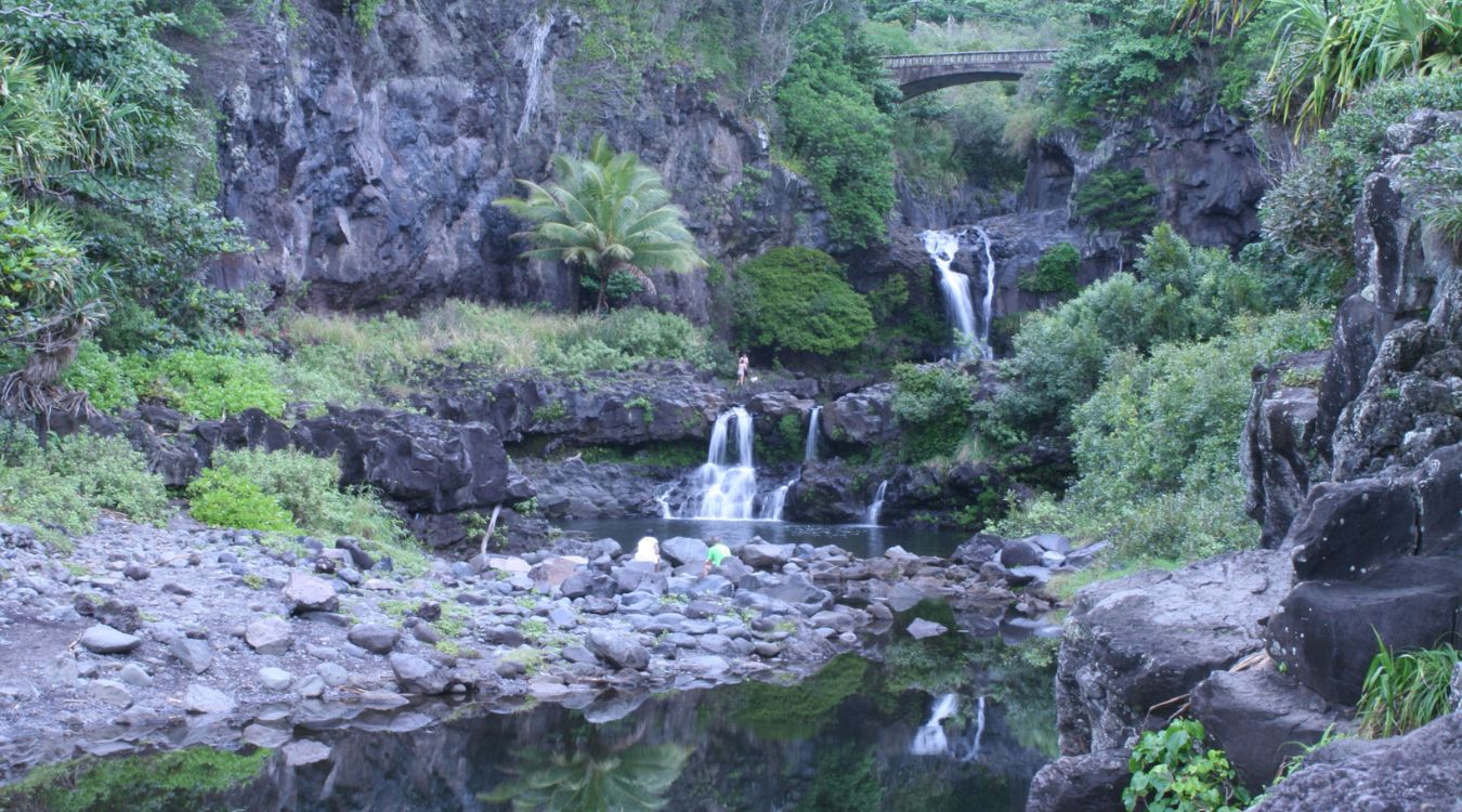 Sacred-Groves-Of-Hawaii8217s-Kipahulu-Valley sacred-groves-of-hawaiis-kipahulu-valley