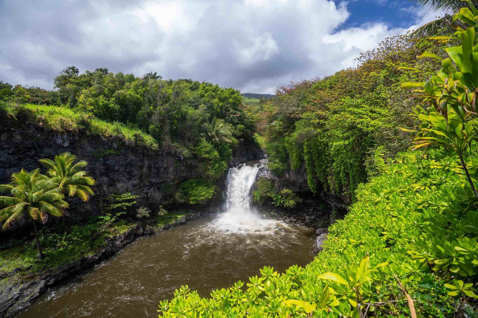 Sacred-Pools-Of-Hawaii8217s-Molokai-Forest sacred-pools-of-hawaiis-molokai-forest