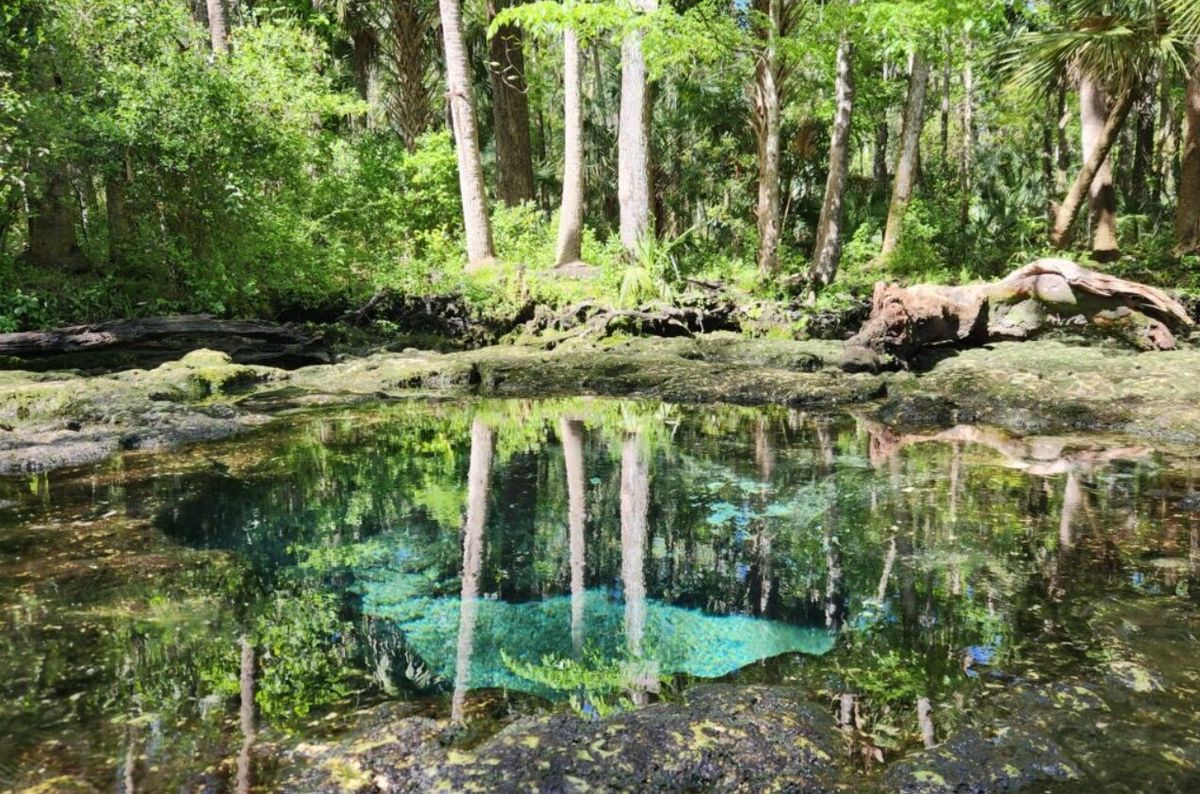 sacred-waters-of-floridas-chassahowitzka