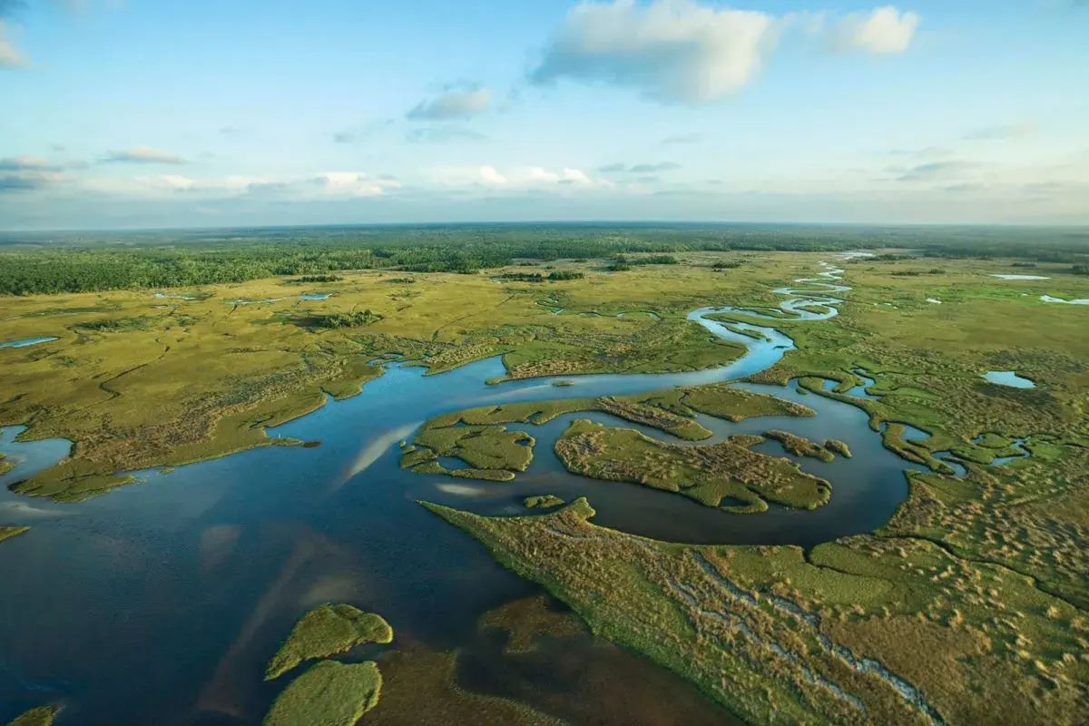 Sacred-Waters-Of-Florida8217s-Everglades sacred-waters-of-floridas-everglades