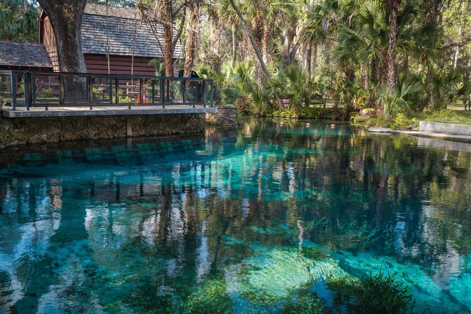 Sacred-Waters-Of-Florida8217s-Juniper-Springs sacred-waters-of-floridas-juniper-springs