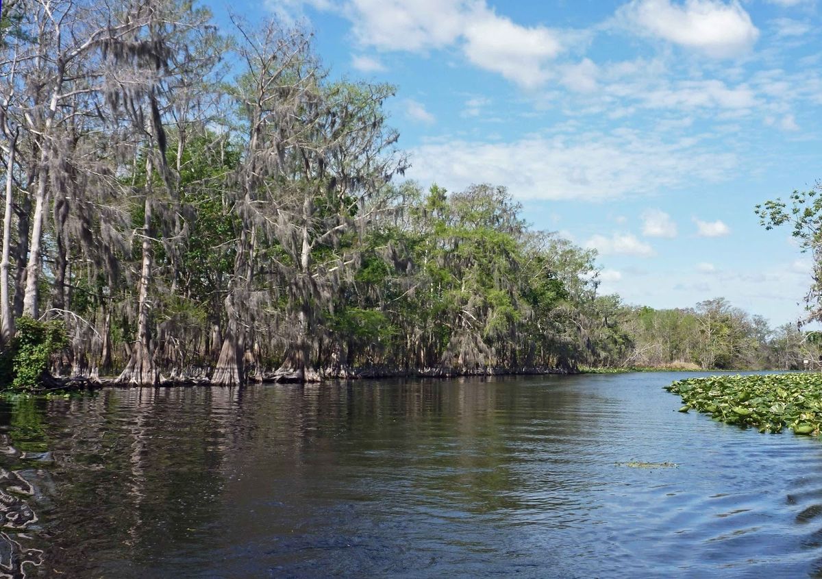 sacred-waters-of-floridas-st-johns-river
