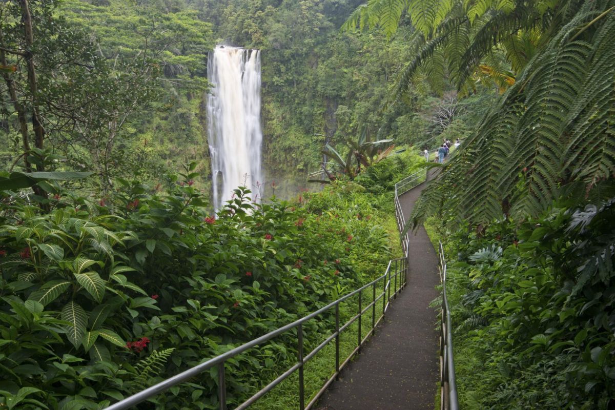 sacred-waters-of-hawaiis-akaka-falls
