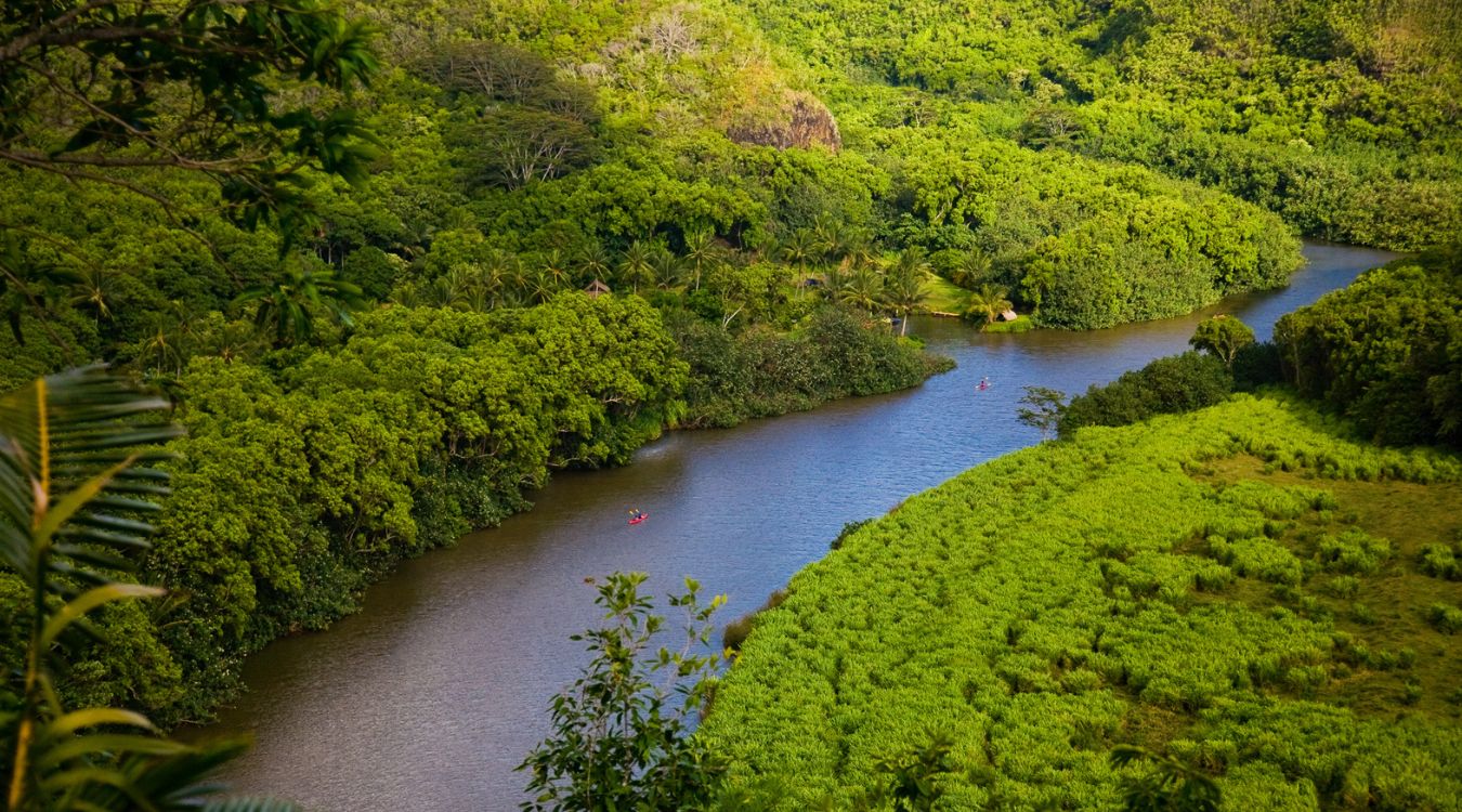 sacred-waters-of-hawaiis-wailua-river