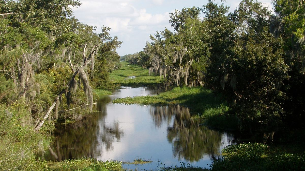 Sacred-Waters-Of-Louisiana8217s-Jean-Lafitte sacred-waters-of-louisianas-jean-lafitte