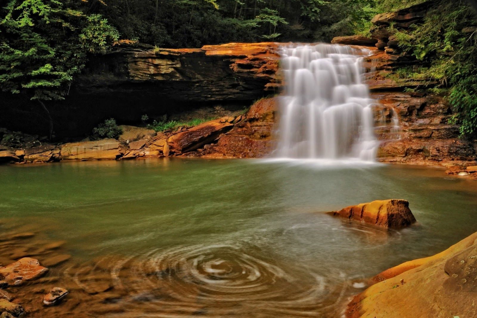 sacred-waters-of-marylands-blackwater