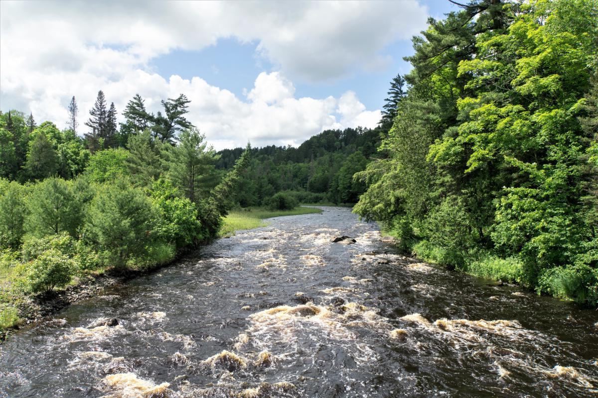 sacred-waters-of-michigans-sturgeon-river