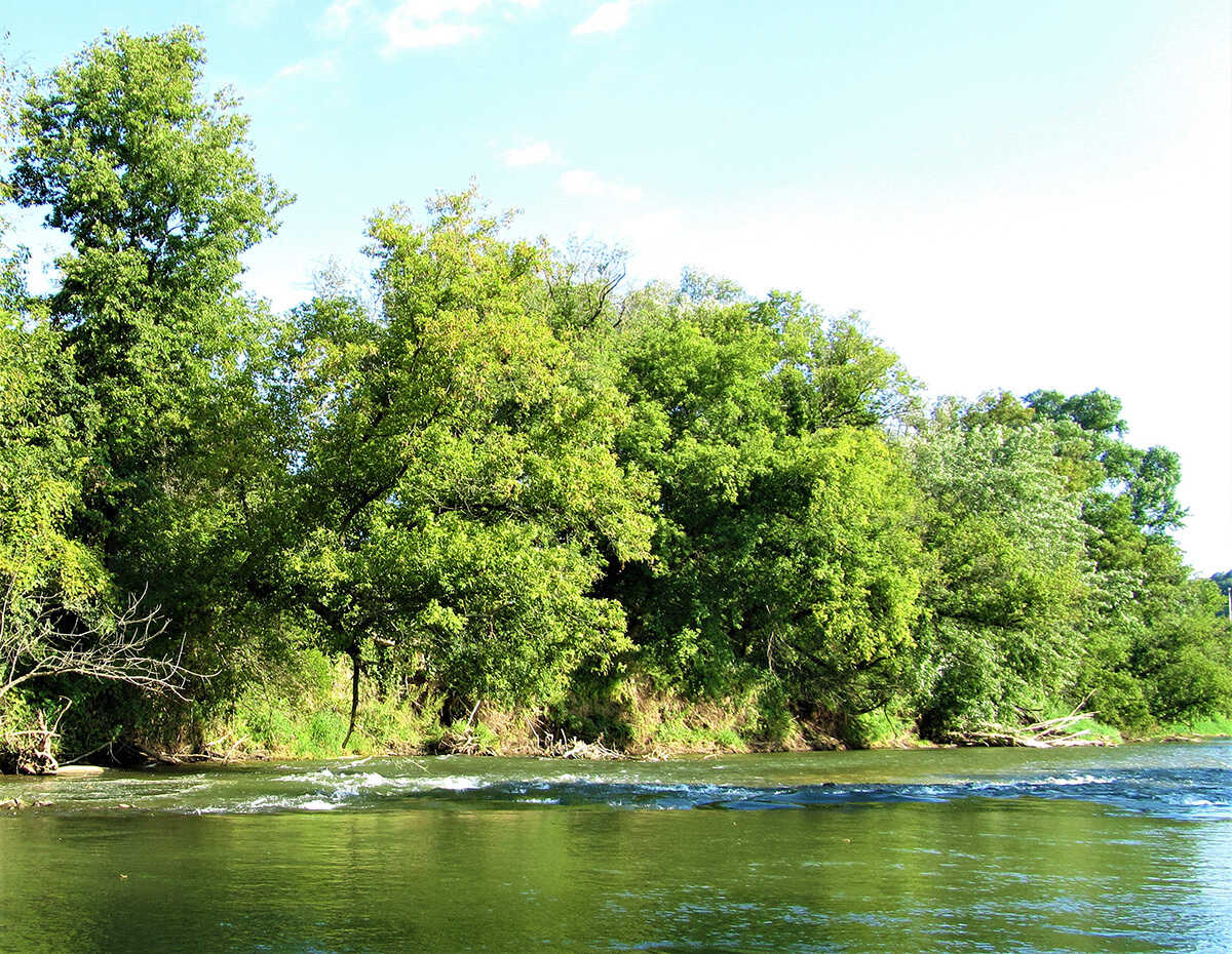 sacred-waters-of-minnesotas-root-river