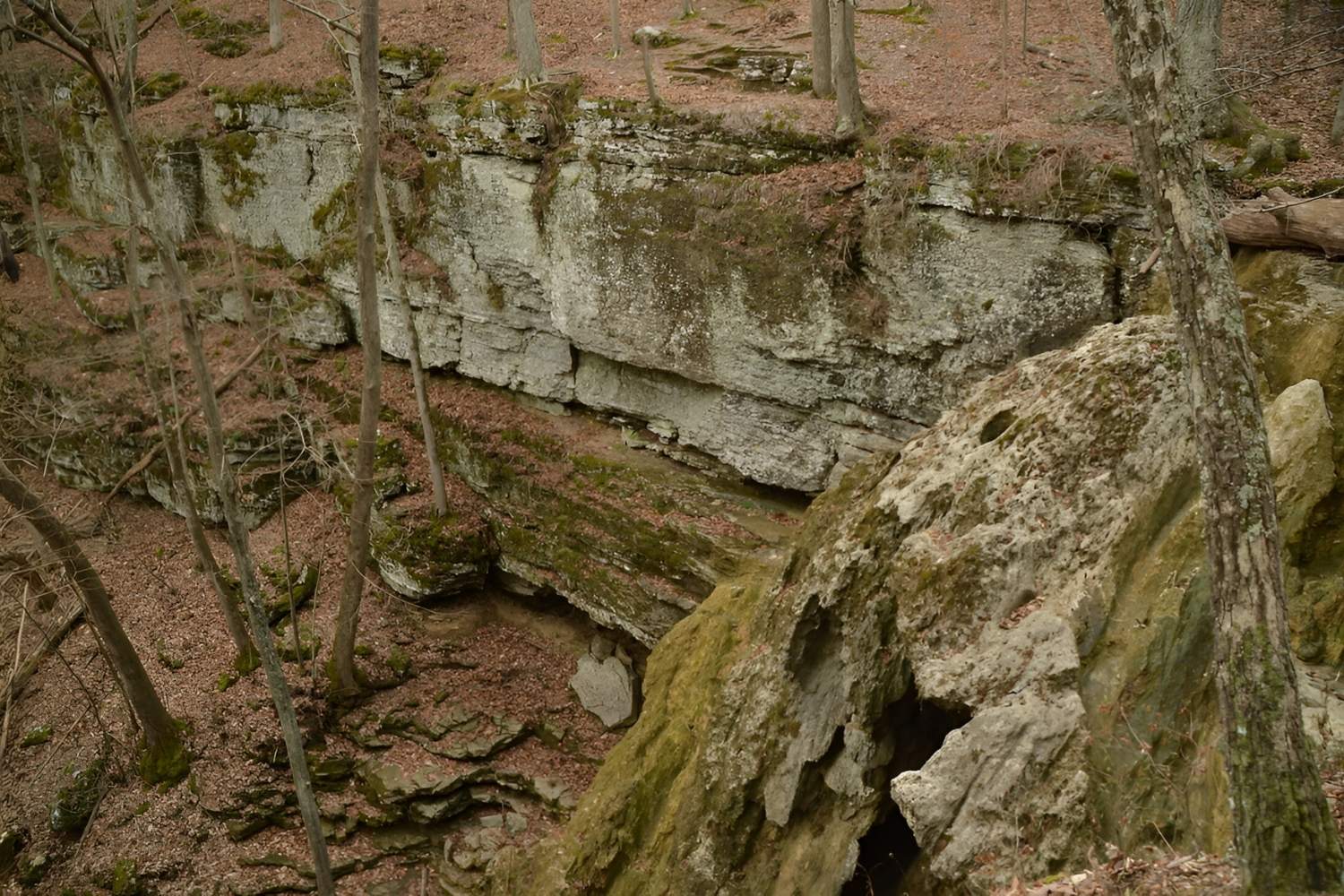 Secret-Caves-Of-Georgia8217s-Ellicott-Rock secret-caves-of-georgias-ellicott-rock