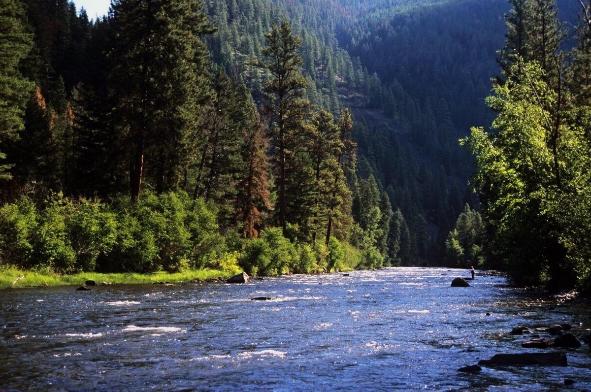 secret-crystal-fields-of-montanas-sapphire-range