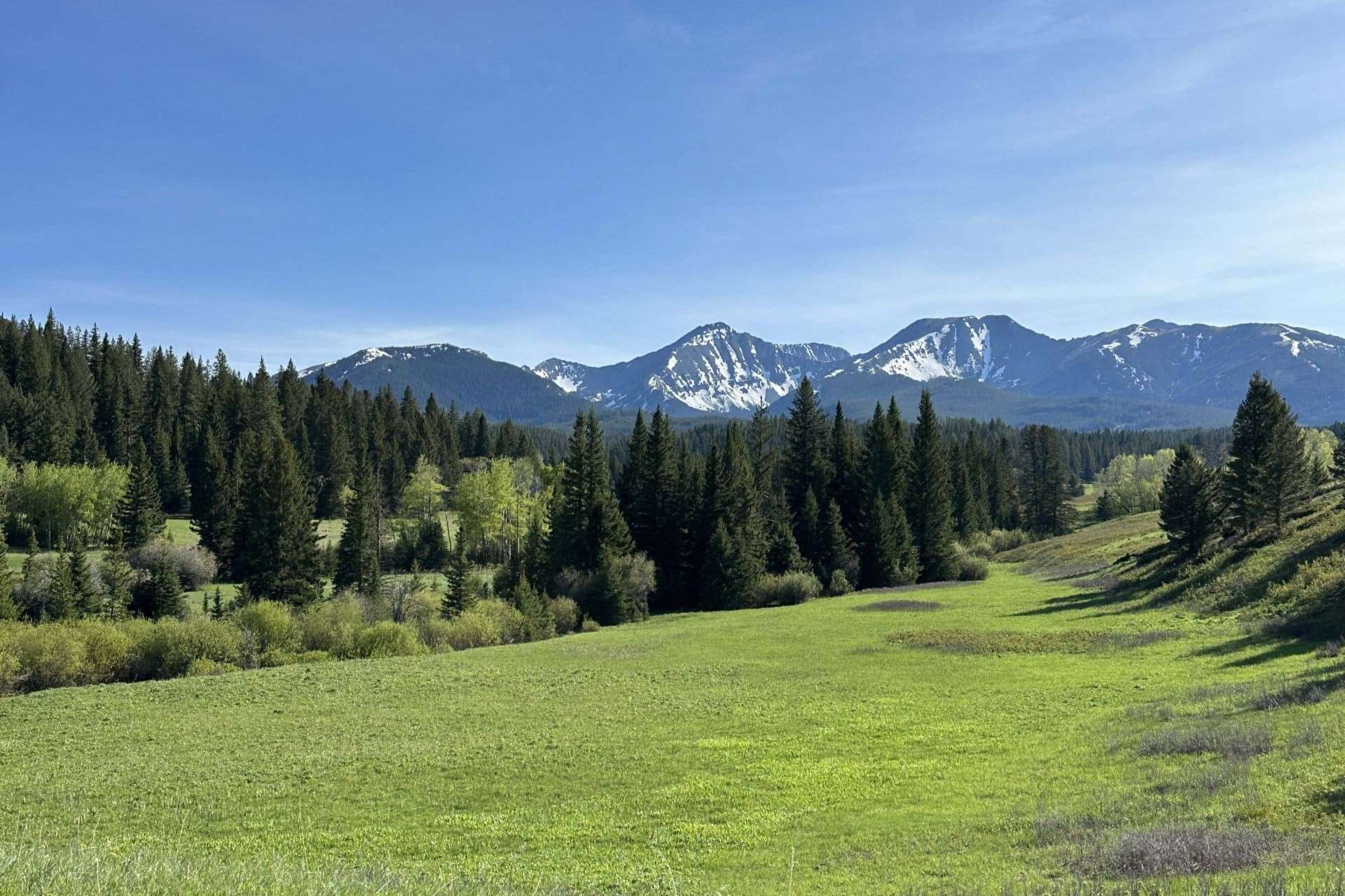 Secret-Eagle-Nests-Of-Montana8217s-Madison-Range secret-eagle-nests-of-montanas-madison-range