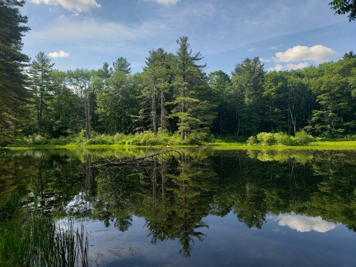secret-lakes-in-massachusetts-berkshire-hills