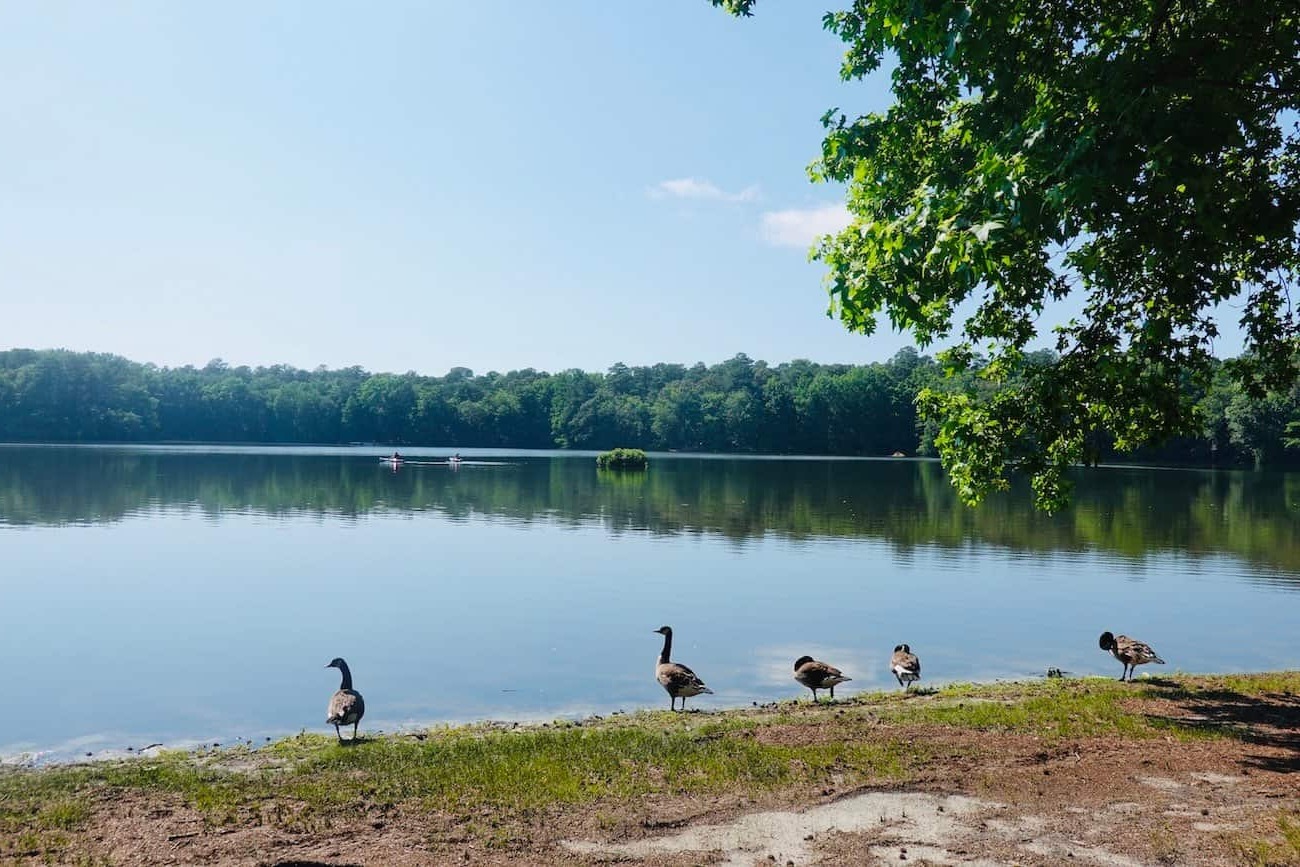 Secret-Lakes-Of-Delaware8217s-Trap-Pond secret-lakes-of-delawares-trap-pond