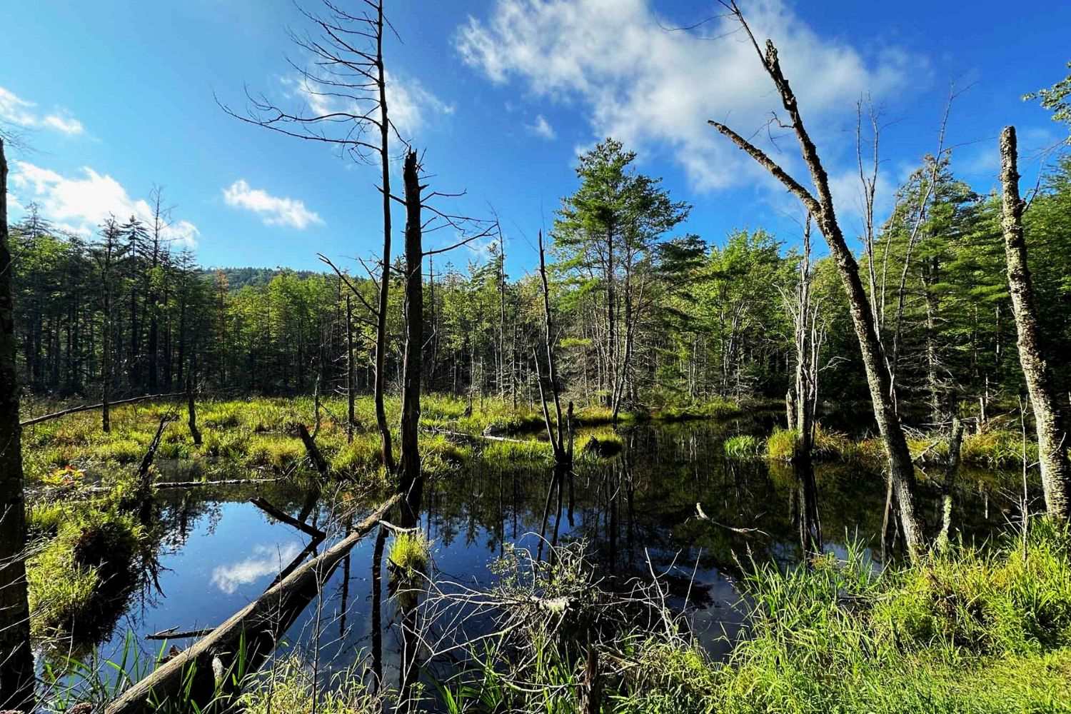 secret-lakes-of-massachusetts-mount-watatic