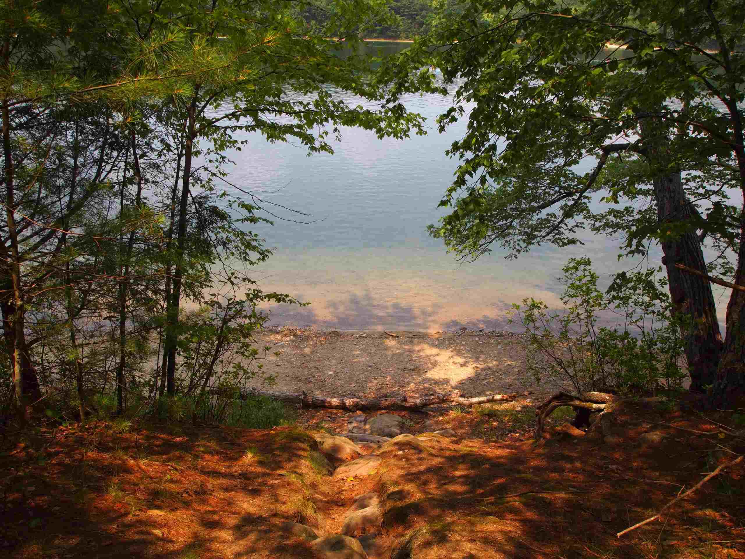 secret-lakes-of-massachusetts-walden-pond
