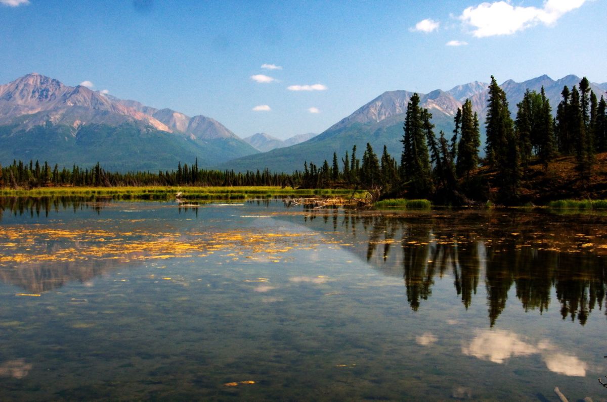 secret-mountain-passes-of-alaskas-mentasta