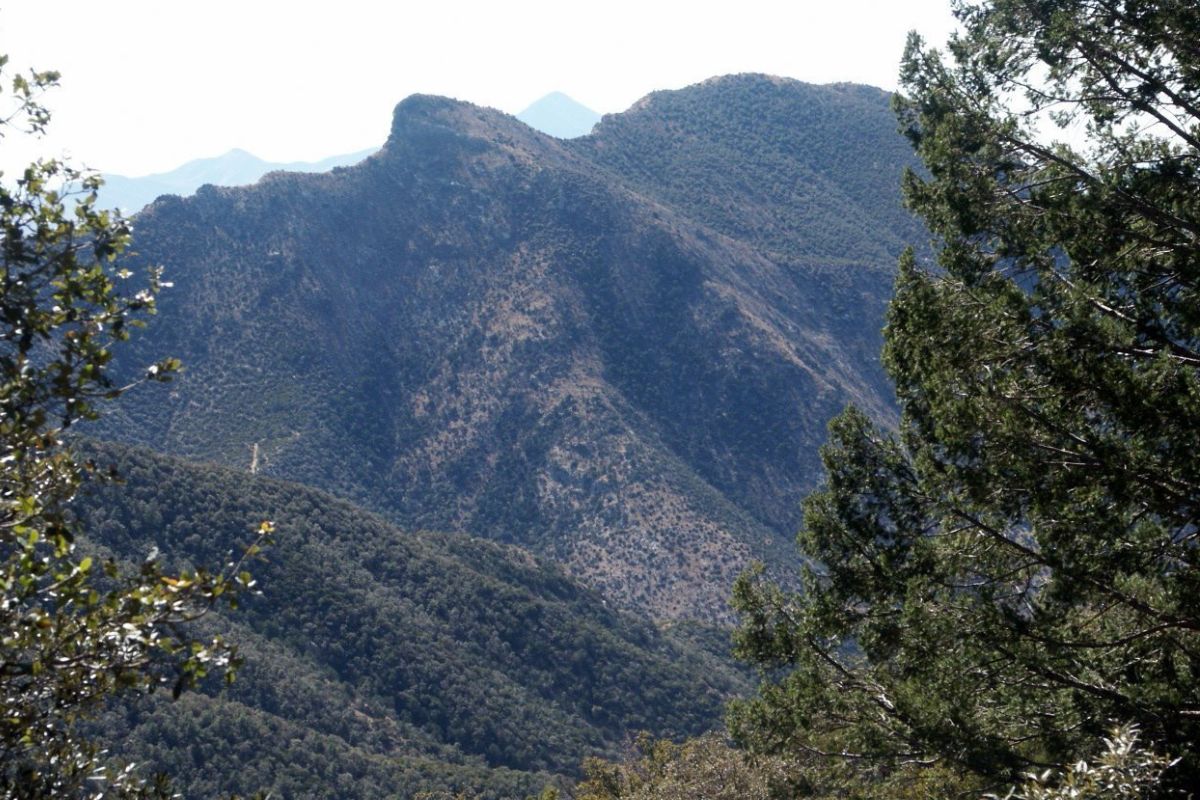 secret-mountain-springs-of-arizonas-huachuca-range
