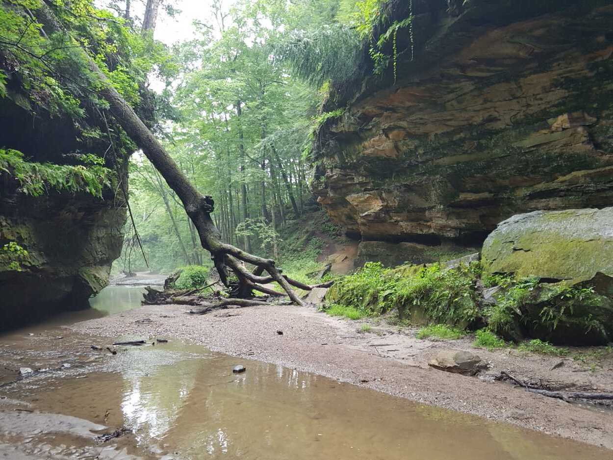 secret-river-bluffs-of-indianas-turkey-run