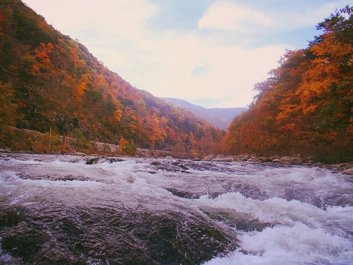 secret-river-fords-of-tennessees-nolichucky