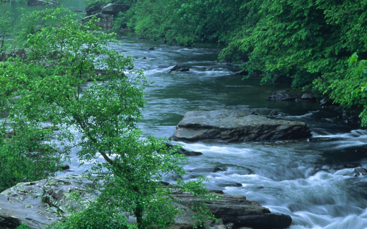Secret-River-Fords-Of-Tennessee8217s-Obed secret-river-fords-of-tennessees-obed