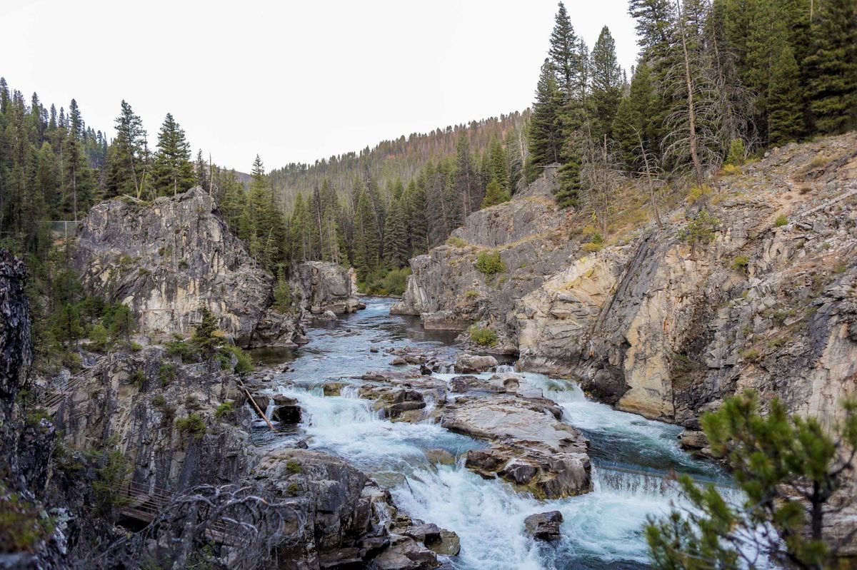 secret-river-rapids-of-idahos-middle-fork