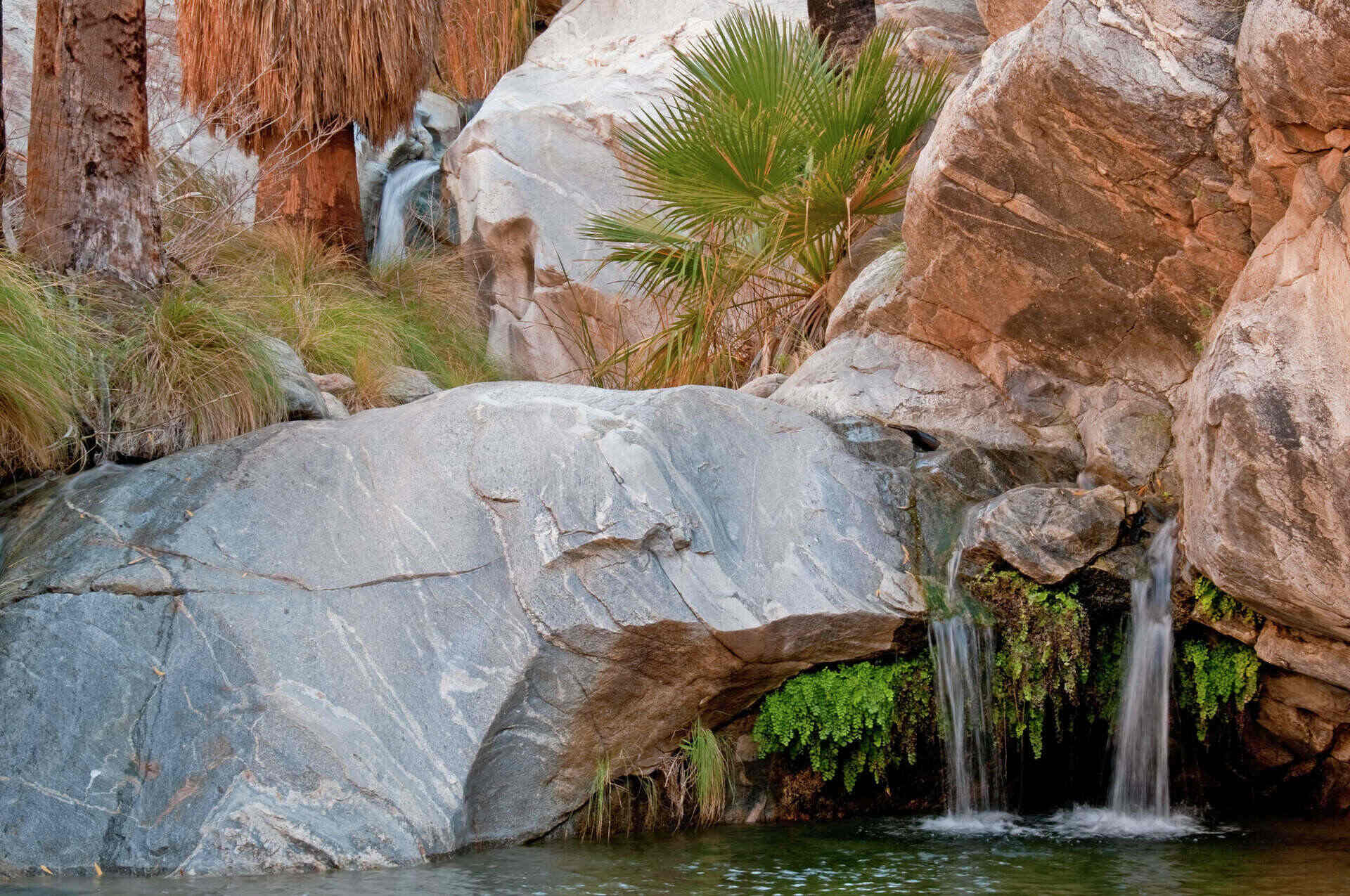 secret-springs-of-californias-indian-creek