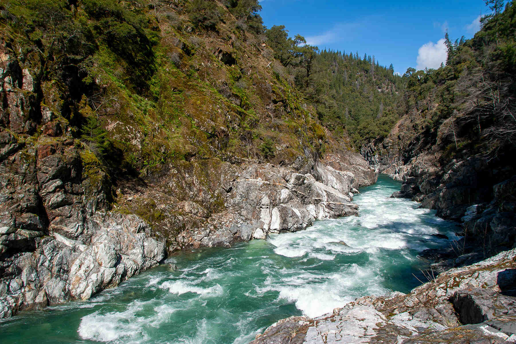 secret-springs-of-californias-salmon-creek