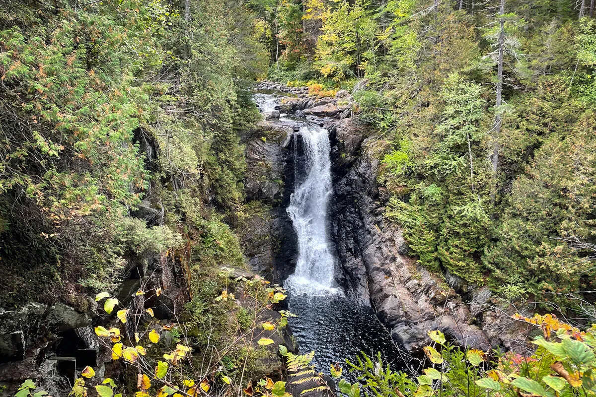 secret-springs-of-mississippis-bethel-creek