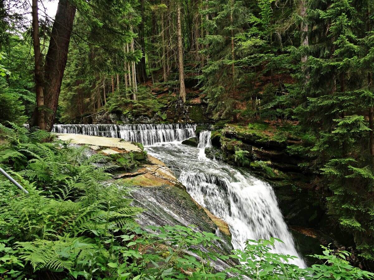 secret-springs-of-mississippis-clark-creek