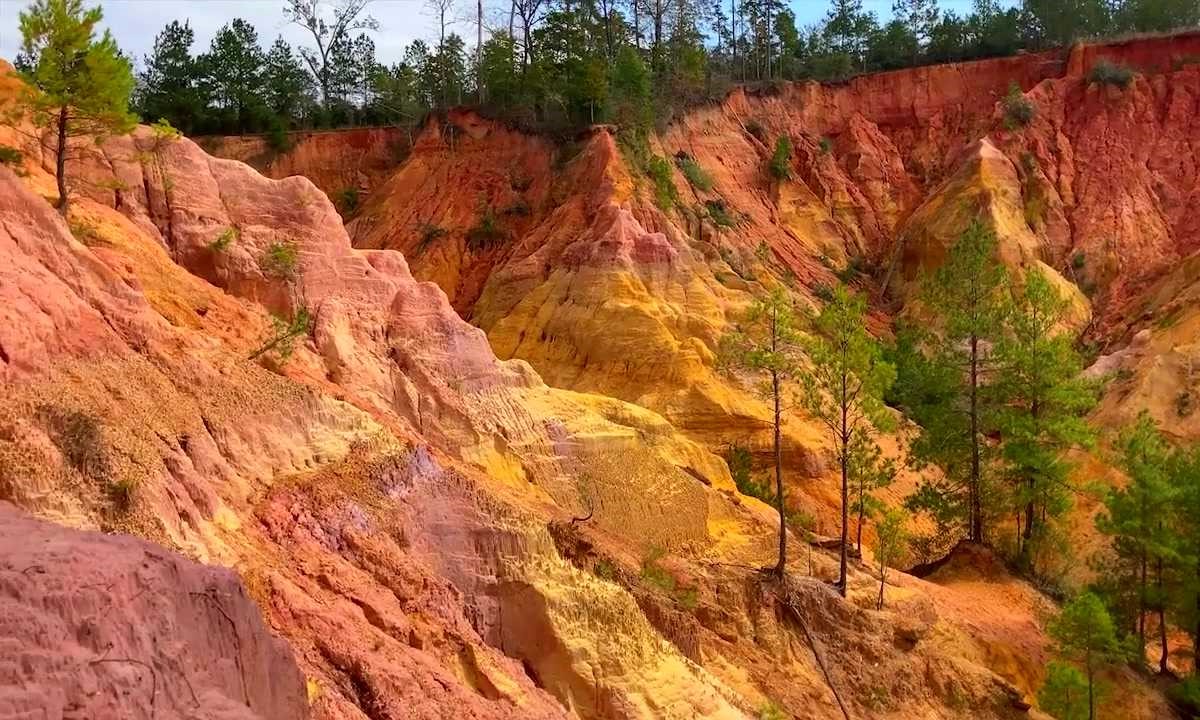 Secret-Springs-Of-Mississippi8217s-Red-Bluff secret-springs-of-mississippis-red-bluff