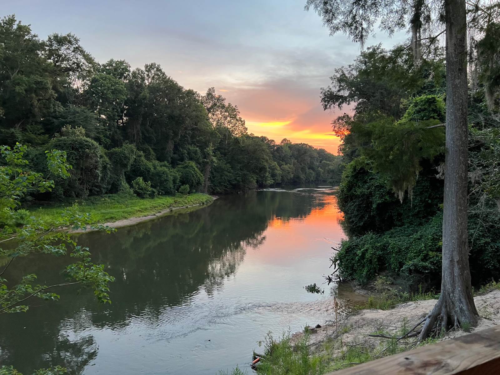 secret-springs-of-mississippis-turkey-creek