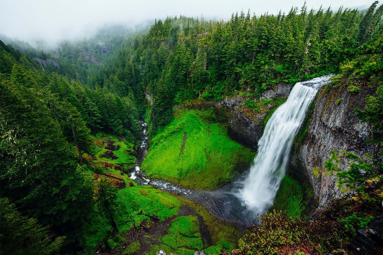 secret-springs-of-oregons-salt-creek