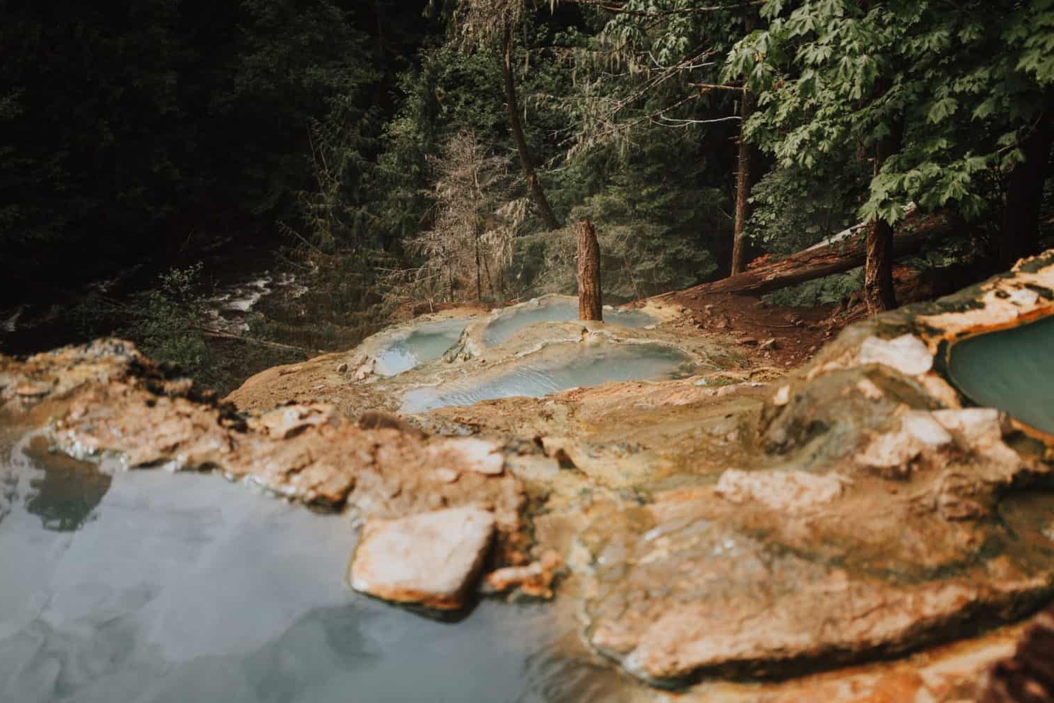 secret-springs-of-oregons-toketee