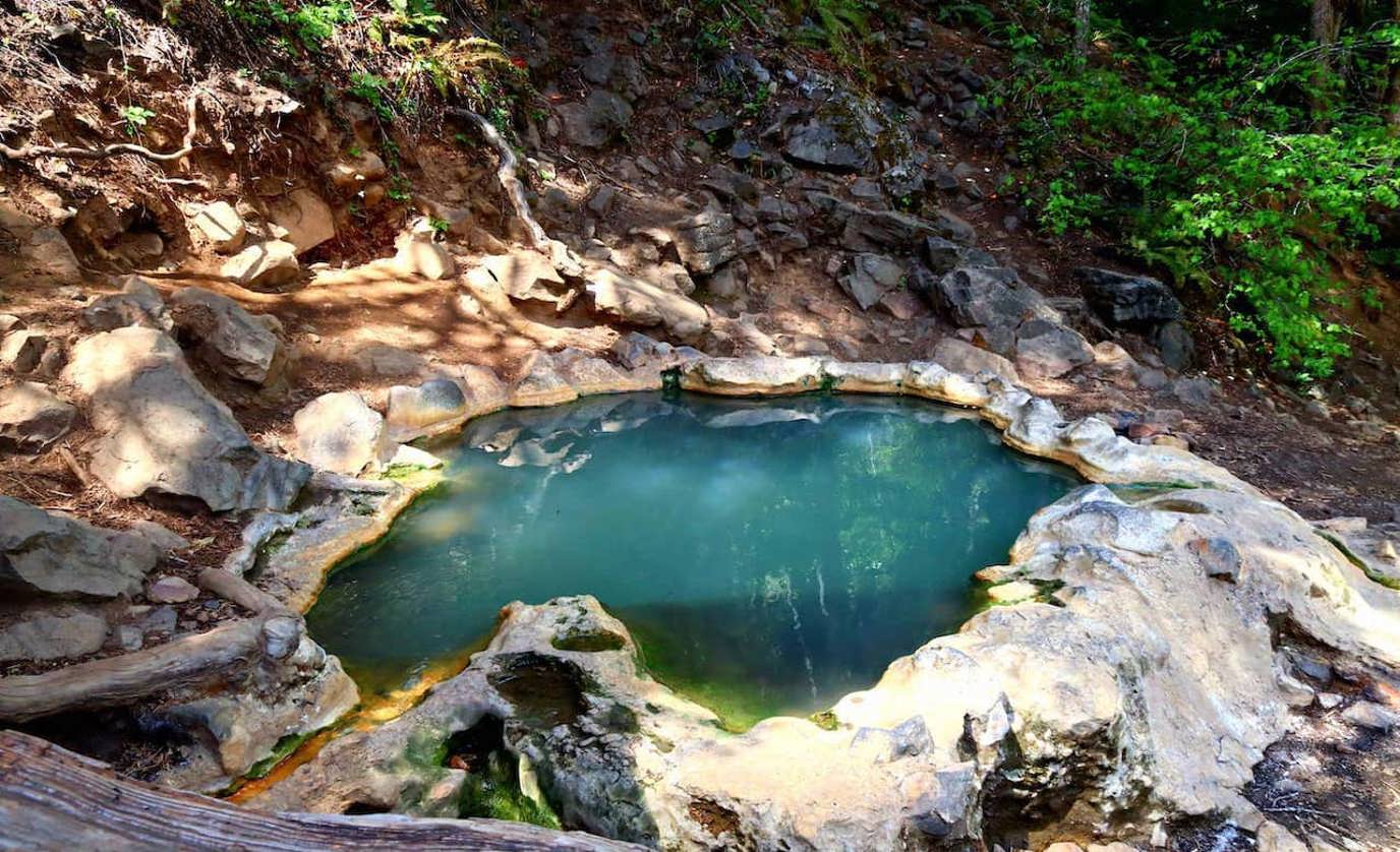 Secret-Springs-Of-Oregon8217s-Willamette secret-springs-of-oregons-willamette