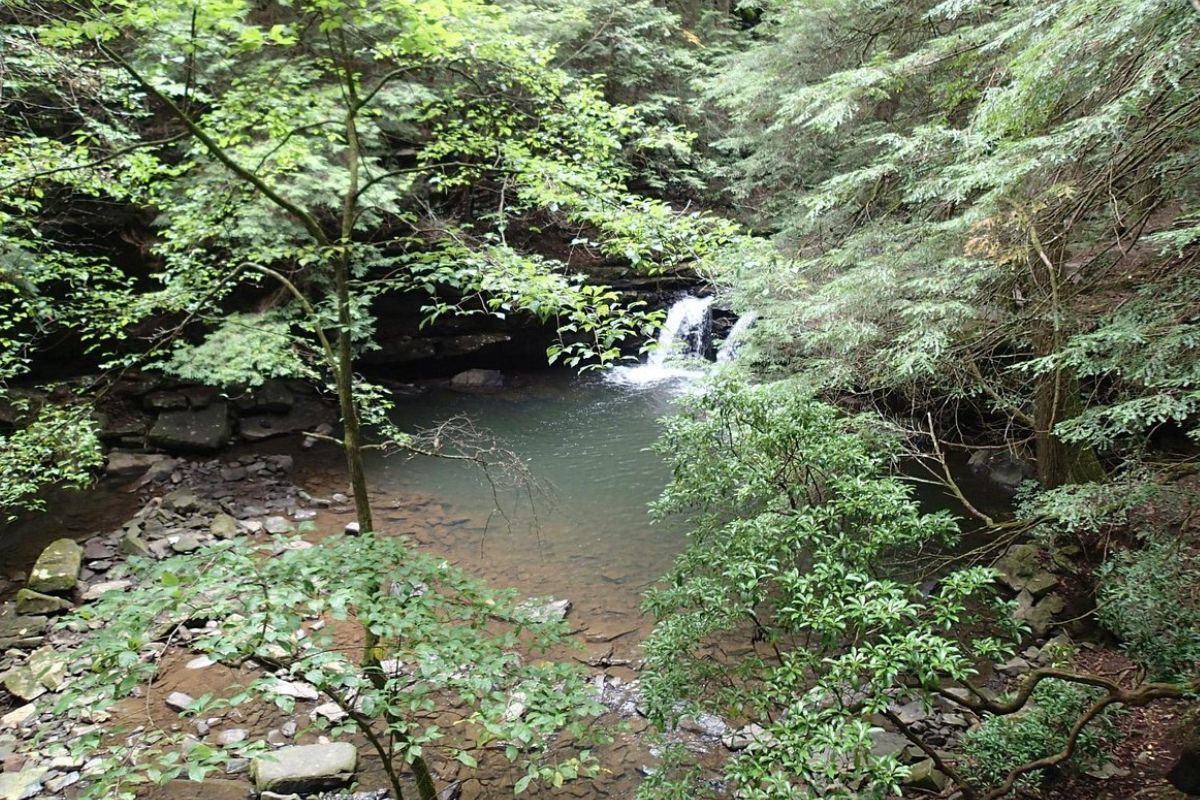 secret-springs-of-tennessees-fiery-gizzard