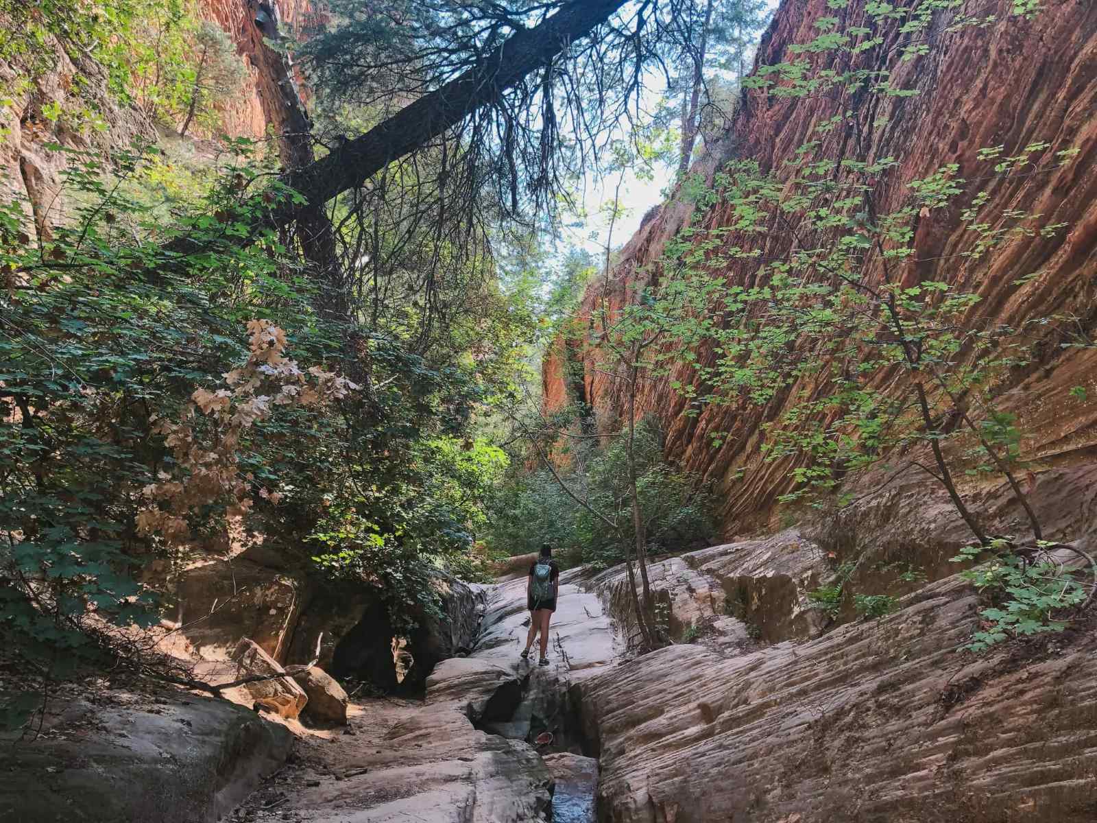secret-springs-of-utahs-zion-canyon