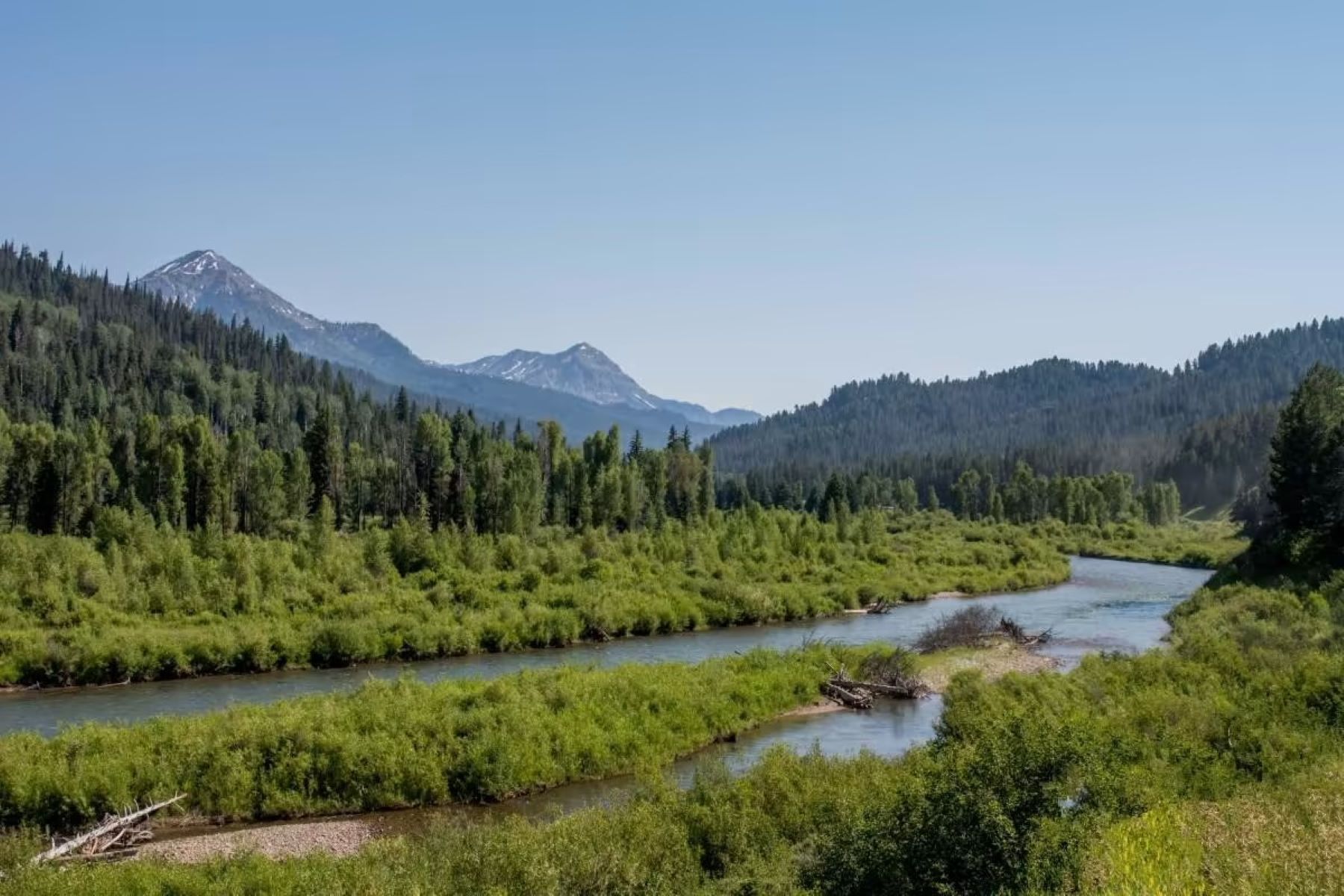 Secret-Wolf-Tracks-Of-Wyoming8217s-Greys-River secret-wolf-tracks-of-wyomings-greys-river