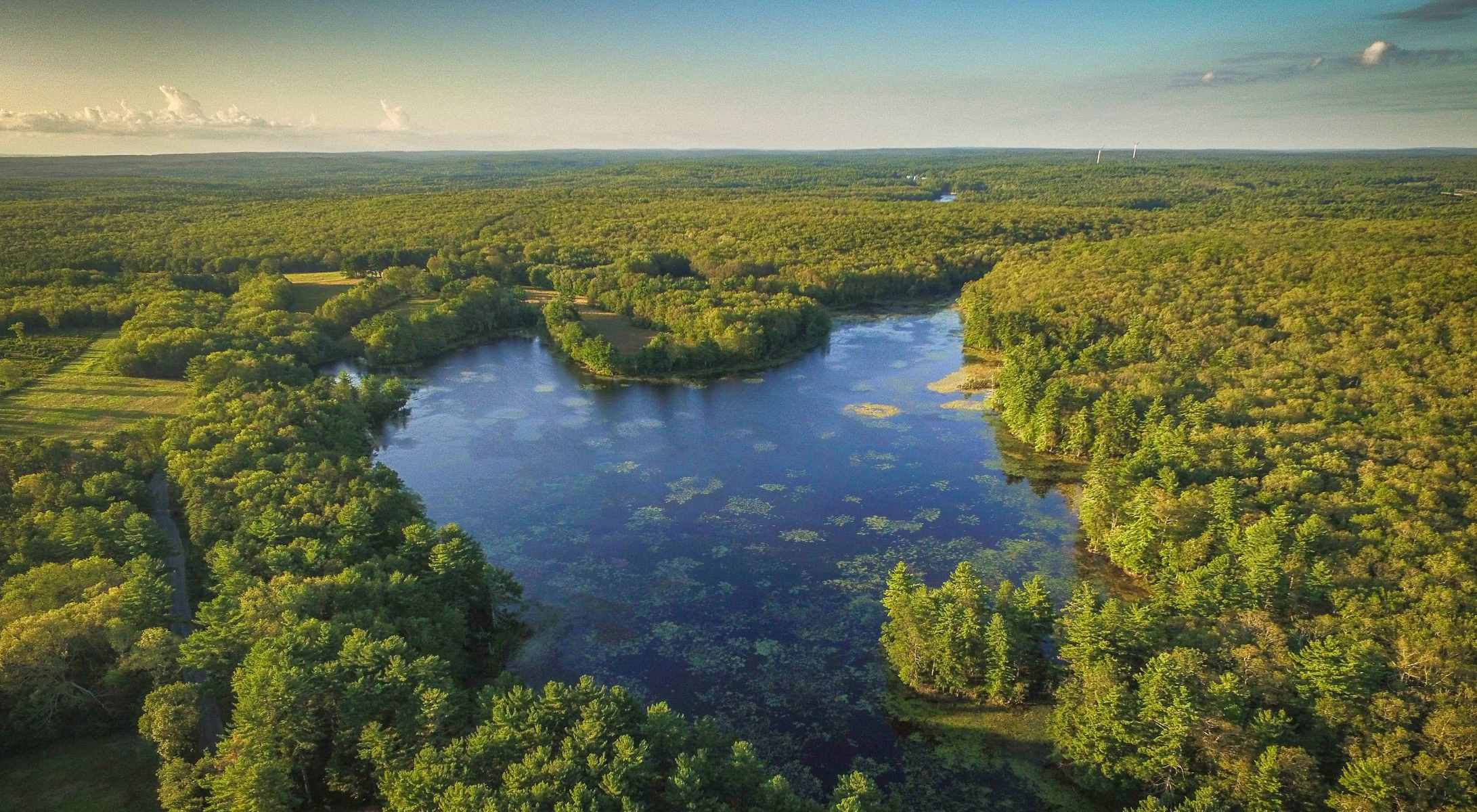 Secrets-Behind-Rhode-Island8217s-Tillinghast secrets-behind-rhode-islands-tillinghast