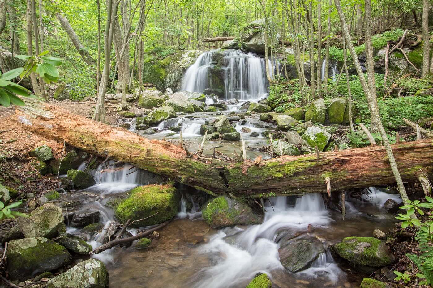 Secrets-Behind-Virginia8217s-Lost-Orchards secrets-behind-virginias-lost-orchards
