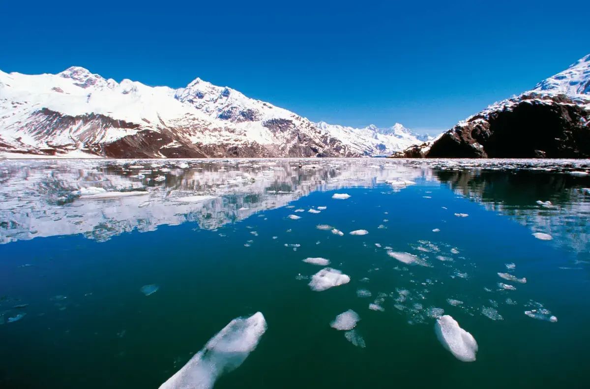 Secrets-Beneath-Alaska8217s-Glacier-Bay-Waters secrets-beneath-alaskas-glacier-bay-waters